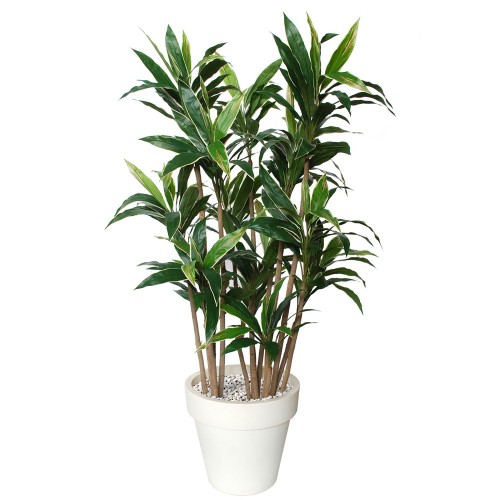 Planta semi-artificiala Ila, Cordyline Boschetto Green Yellow - 220 cm